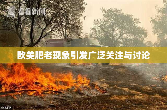 欧美肥老现象引发广泛关注与讨论