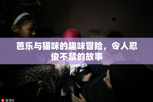 芭乐与猫咪的趣味冒险，令人忍俊不禁的故事