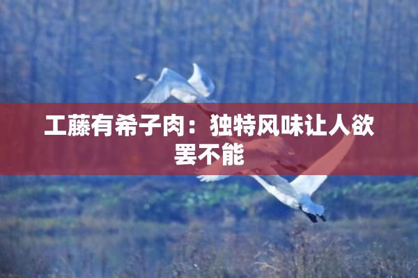工藤有希子肉：独特风味让人欲罢不能