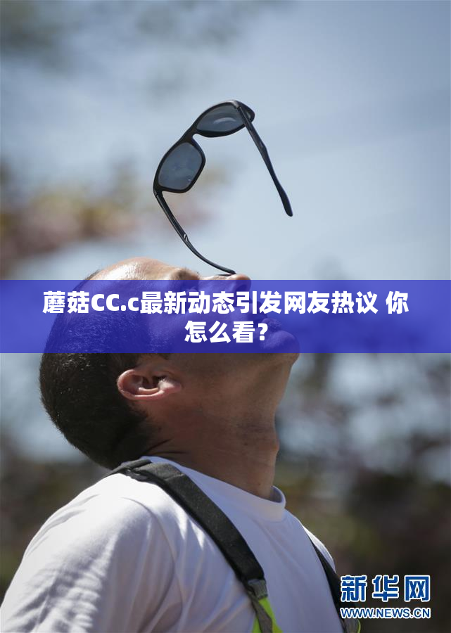 蘑菇CC.c最新动态引发网友热议 你怎么看？