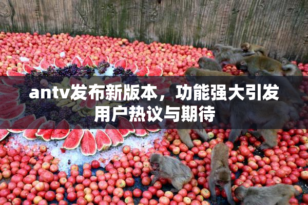 antv发布新版本，功能强大引发用户热议与期待