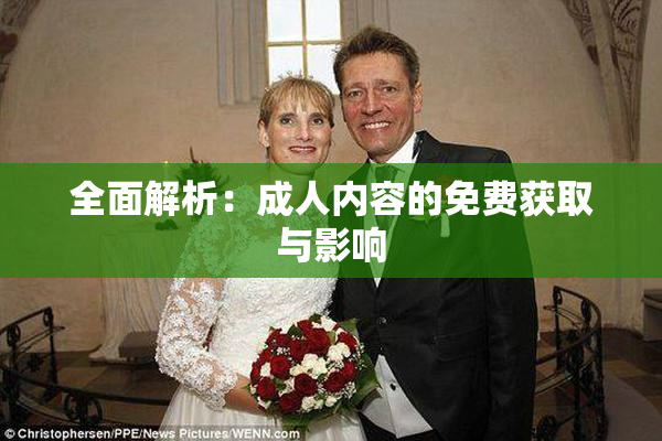 全面解析：成人内容的免费获取与影响