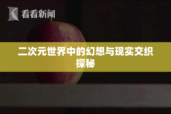 二次元世界中的幻想与现实交织探秘