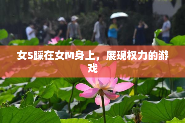 女S踩在女M身上，展现权力的游戏