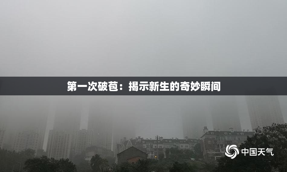 第一次破苞：揭示新生的奇妙瞬间