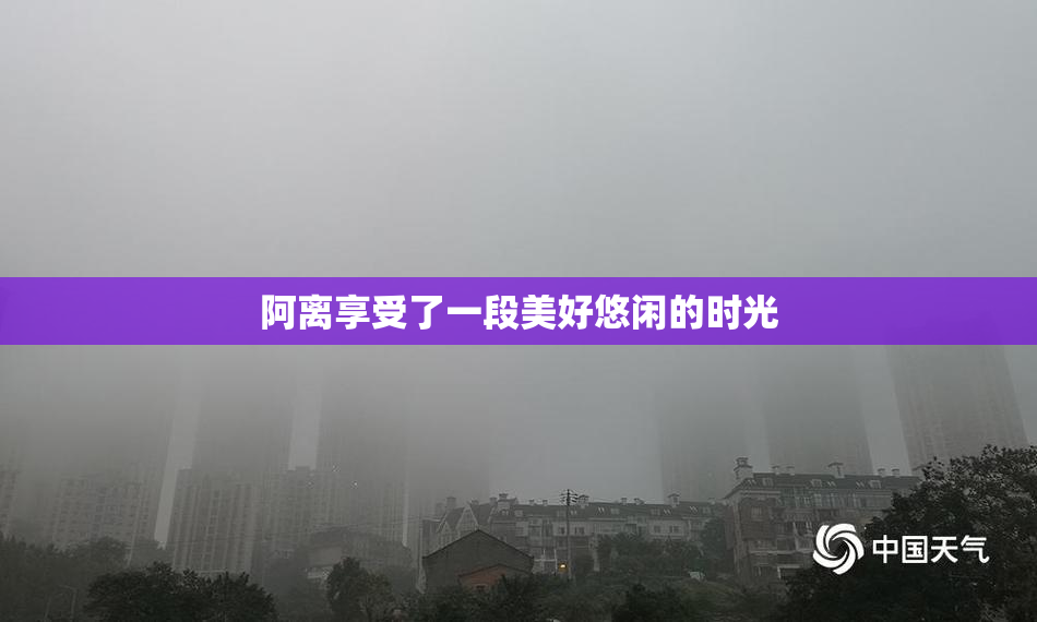 阿离享受了一段美好悠闲的时光