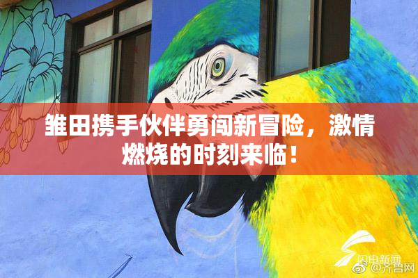 雏田携手伙伴勇闯新冒险，激情燃烧的时刻来临！