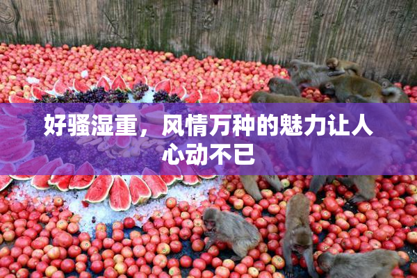 好骚湿重，风情万种的魅力让人心动不已