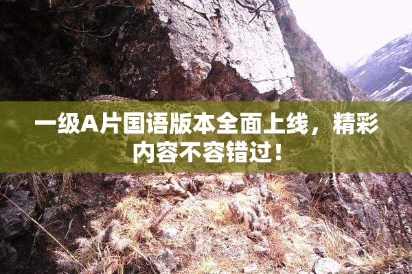一级A片国语版本全面上线，精彩内容不容错过！