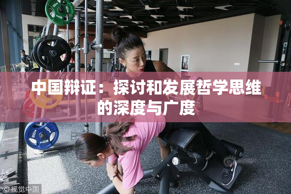 中国辩证：探讨和发展哲学思维的深度与广度