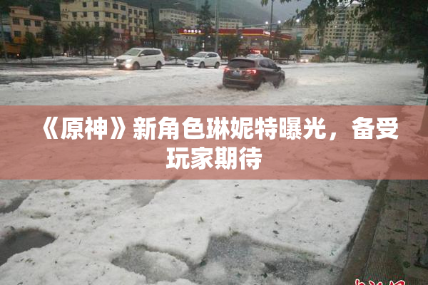 《原神》新角色琳妮特曝光，备受玩家期待
