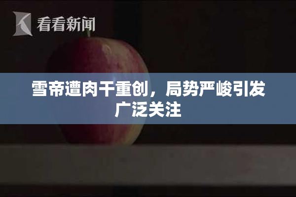 雪帝遭肉干重创，局势严峻引发广泛关注