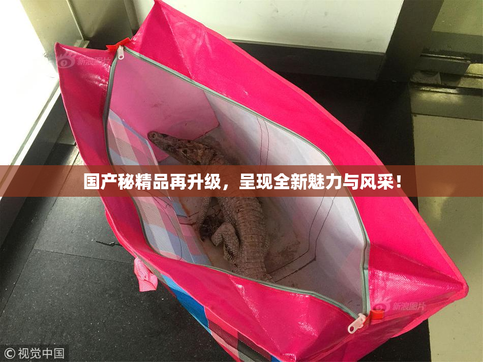 国产秘精品再升级，呈现全新魅力与风采！