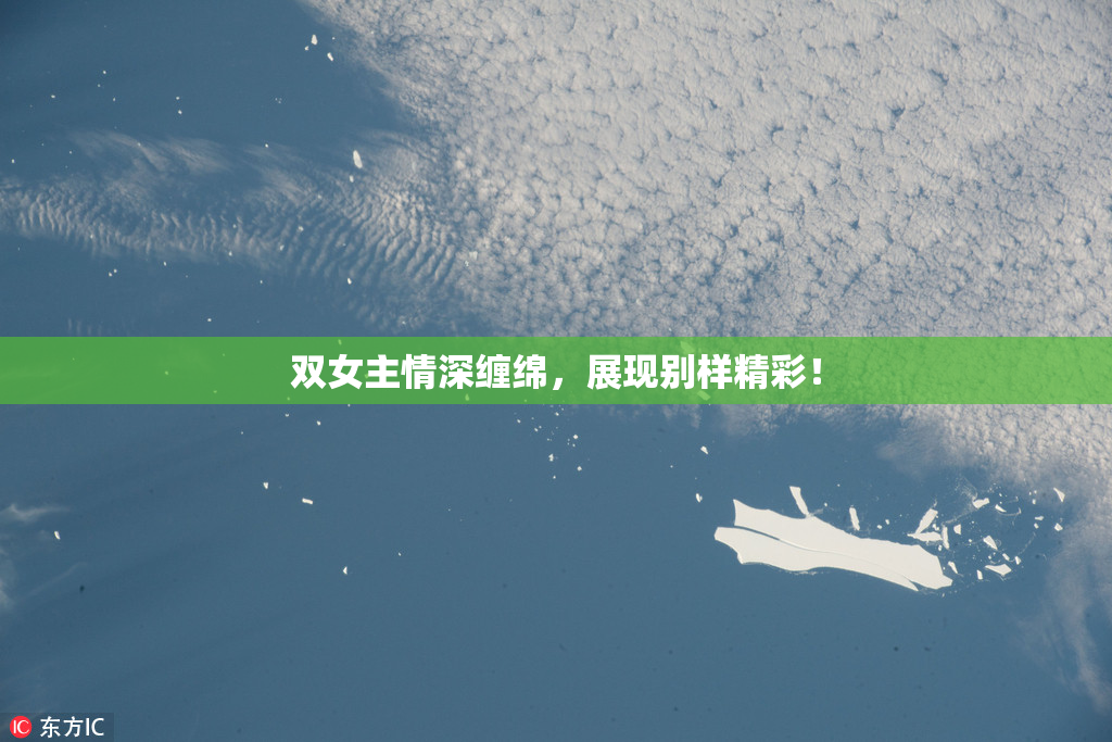 双女主情深缠绵，展现别样精彩！