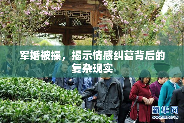 军婚被操，揭示情感纠葛背后的复杂现实