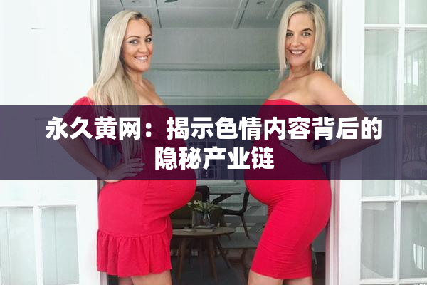 永久黄网：揭示色情内容背后的隐秘产业链