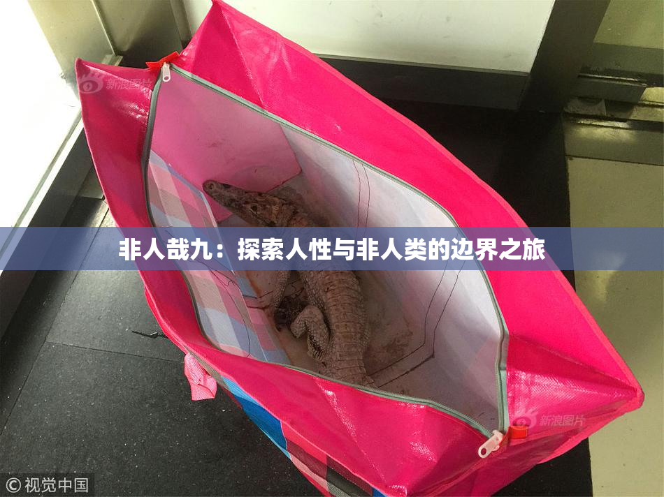 非人哉九：探索人性与非人类的边界之旅