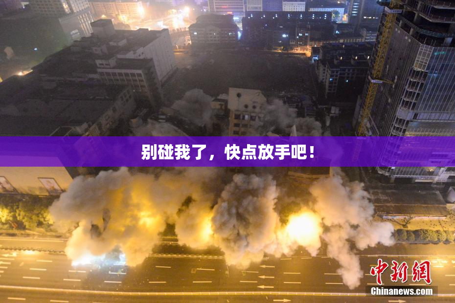 别碰我了，快点放手吧！