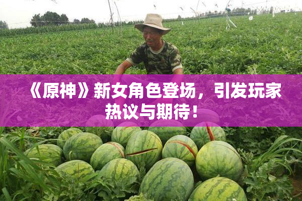 《原神》新女角色登场，引发玩家热议与期待！