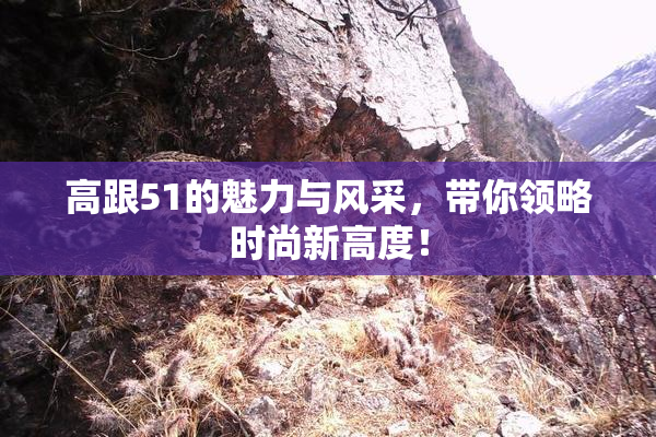 高跟51的魅力与风采，带你领略时尚新高度！