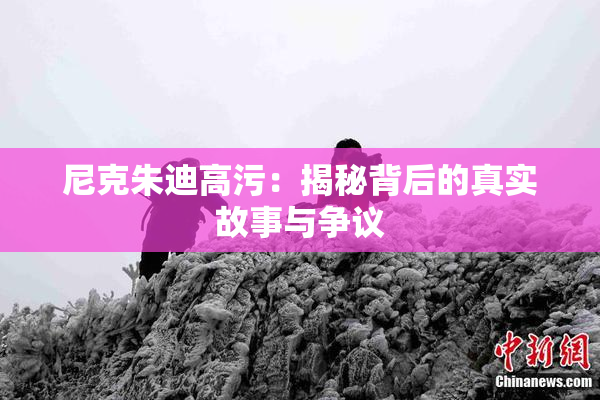 尼克朱迪高污：揭秘背后的真实故事与争议