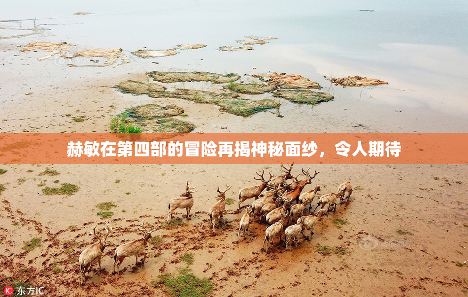 赫敏在第四部的冒险再揭神秘面纱，令人期待