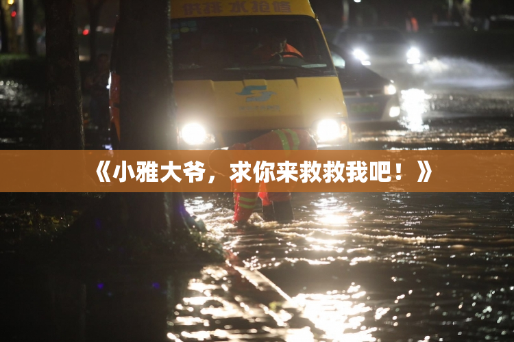 《小雅大爷，求你来救救我吧！》