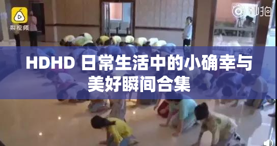 HDHD 日常生活中的小确幸与美好瞬间合集