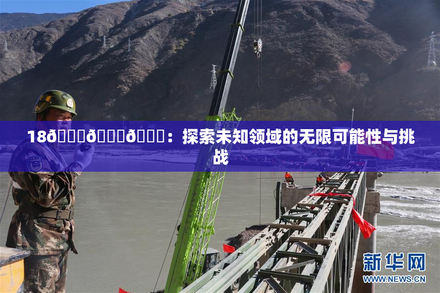 18🔞🍆🍑：探索未知领域的无限可能性与挑战