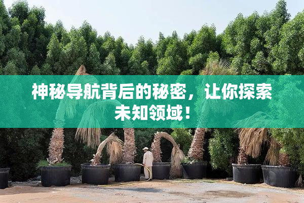 神秘导航背后的秘密，让你探索未知领域！