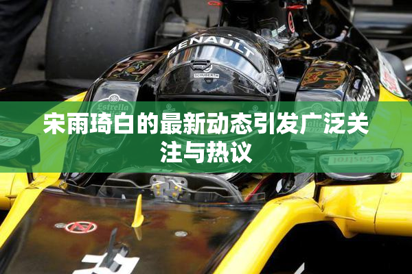 宋雨琦白的最新动态引发广泛关注与热议