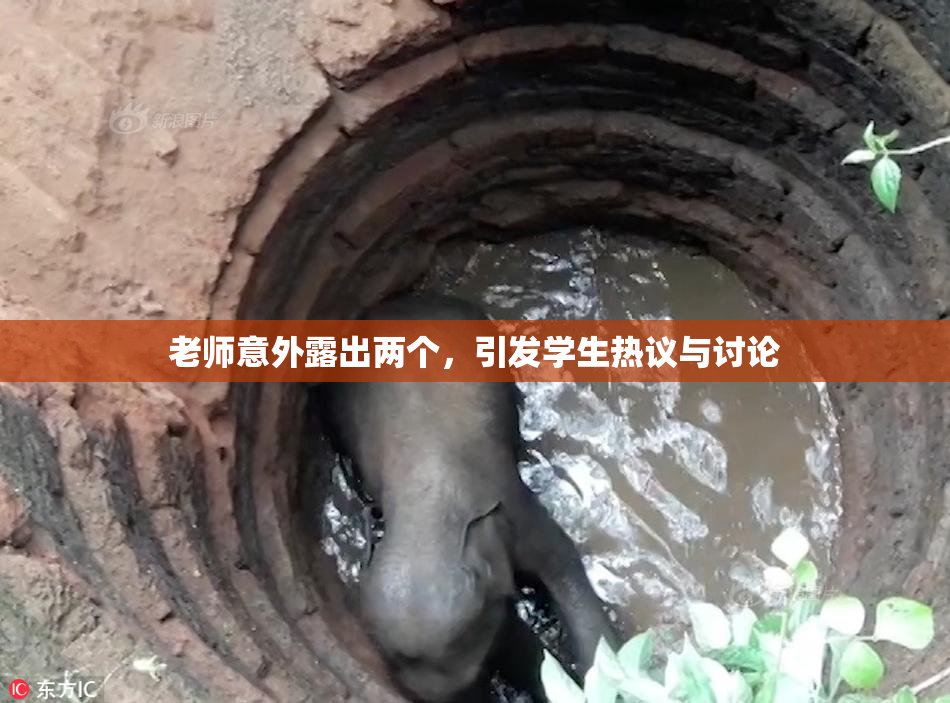 老师意外露出两个，引发学生热议与讨论