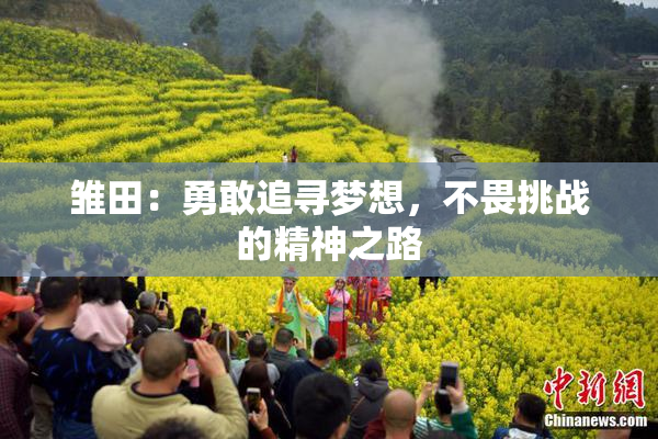 雏田：勇敢追寻梦想，不畏挑战的精神之路