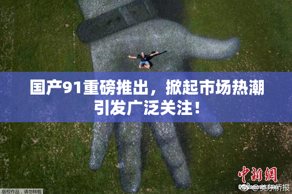 国产91重磅推出，掀起市场热潮引发广泛关注！