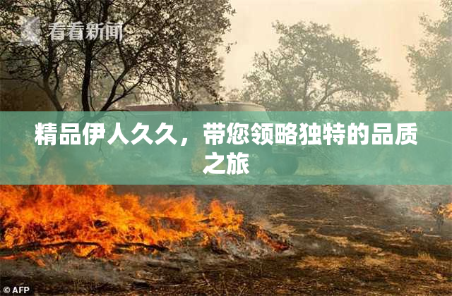 精品伊人久久，带您领略独特的品质之旅