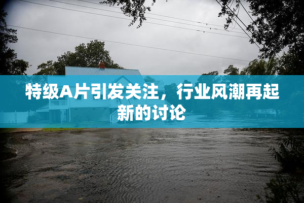 特级A片引发关注，行业风潮再起新的讨论