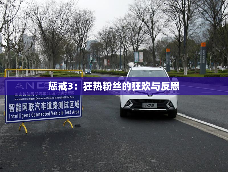 惩戒3：狂热粉丝的狂欢与反思