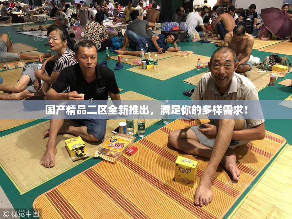 国产精品二区全新推出，满足你的多样需求！