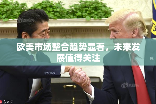 欧美市场整合趋势显著，未来发展值得关注