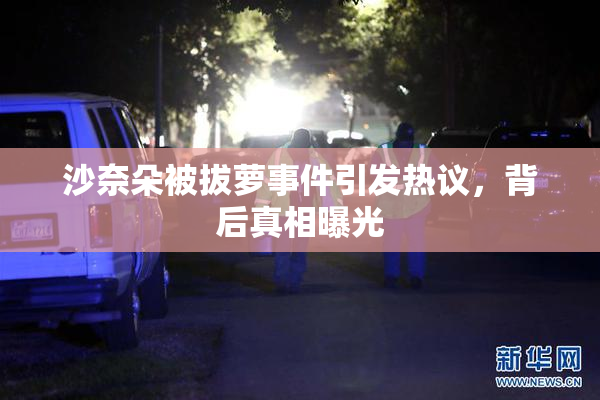 沙奈朵被拔萝事件引发热议，背后真相曝光