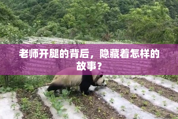 老师开腿的背后，隐藏着怎样的故事？