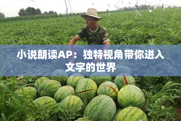 小说朗读AP：独特视角带你进入文字的世界