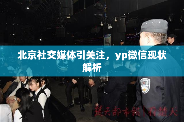 北京社交媒体引关注，yp微信现状解析