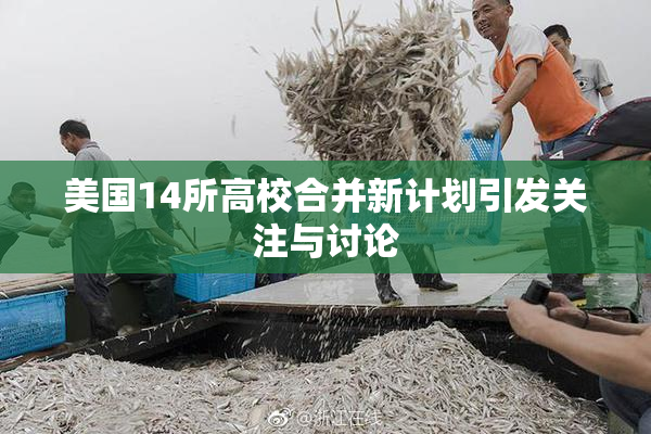 美国14所高校合并新计划引发关注与讨论