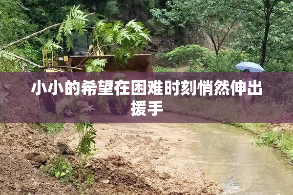 小小的希望在困难时刻悄然伸出援手