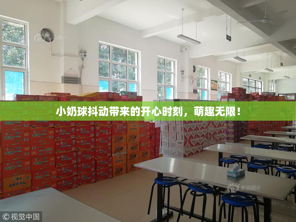 小奶球抖动带来的开心时刻，萌趣无限！