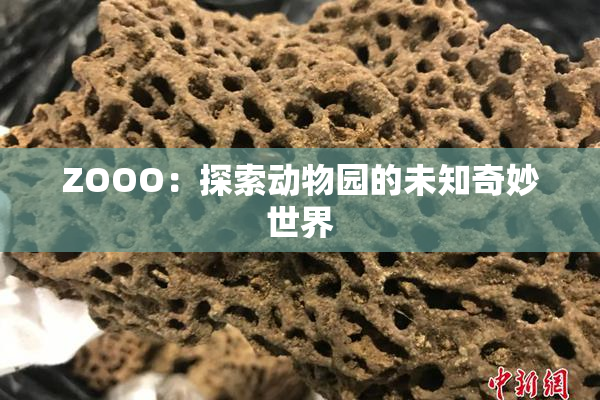 ZOOO：探索动物园的未知奇妙世界