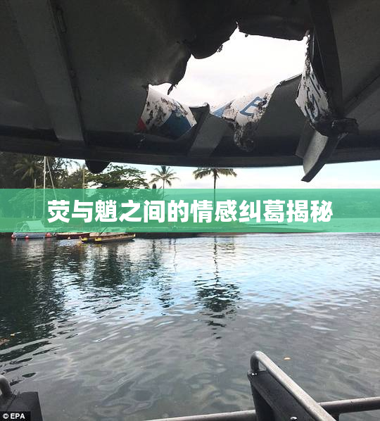 荧与魈之间的情感纠葛揭秘