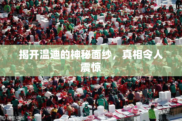 揭开温迪的神秘面纱，真相令人震惊