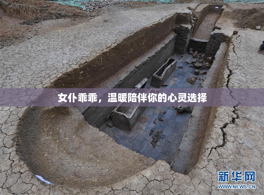 女仆乖乖，温暖陪伴你的心灵选择